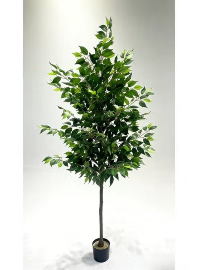 شجرة بانيان اصطناعية - نباتات من فصيلة الصنوبريات (بأوراق تشبه الحرير)، وطحالب اصطناعية، ووعاء أسود متين. هذه النباتات الواقعية مناسبة لتزيين المكاتب والمنازل، ويبلغ ارتفاعها 120 سم. - Image 3